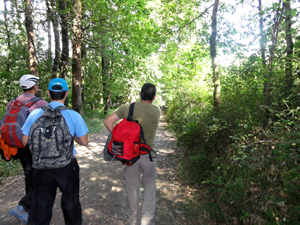 Actividad centro drogas: camino de santiago Centro desintoxicacion Drogas en Camino de Santiago