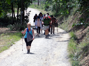 Actividad terapéutica Camino Santiago