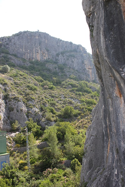 Actividad terapéutica desintoxicación escalada