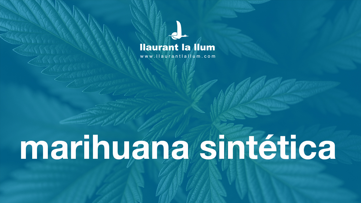 Descubre la verdad sobre la marihuana sintética